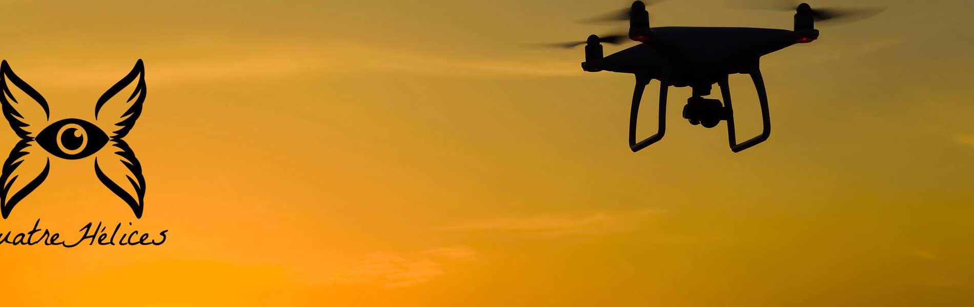 Visite par drone