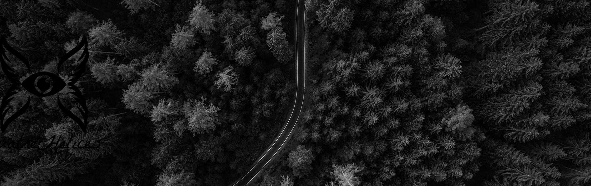 Photo drone immobilier