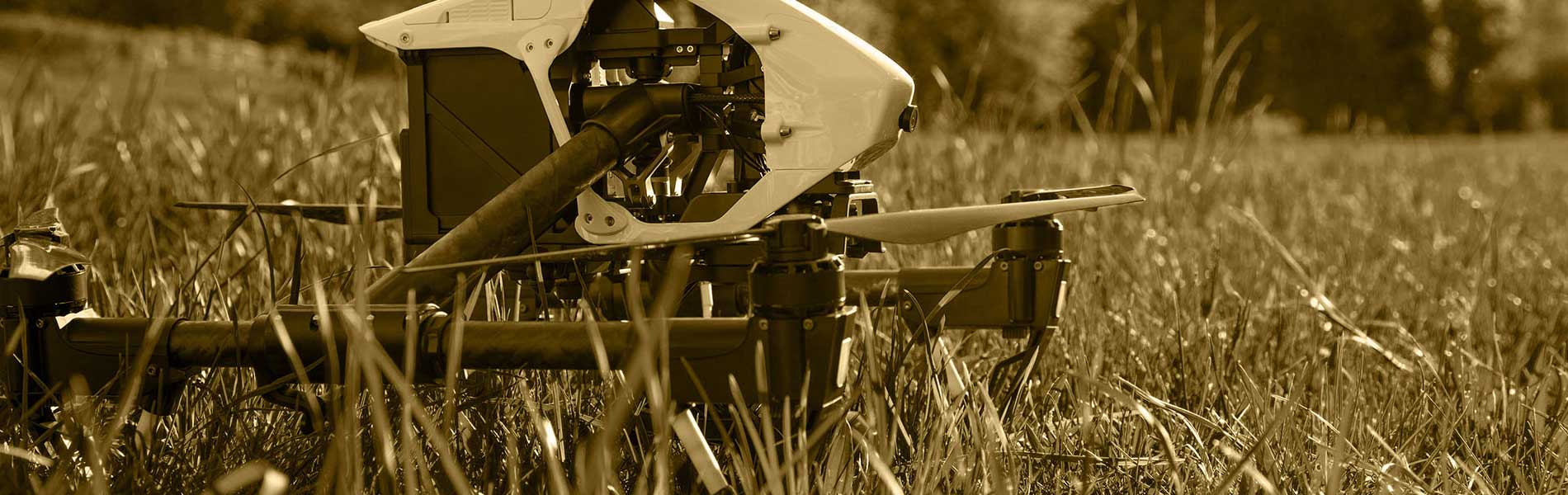 Visite par drone