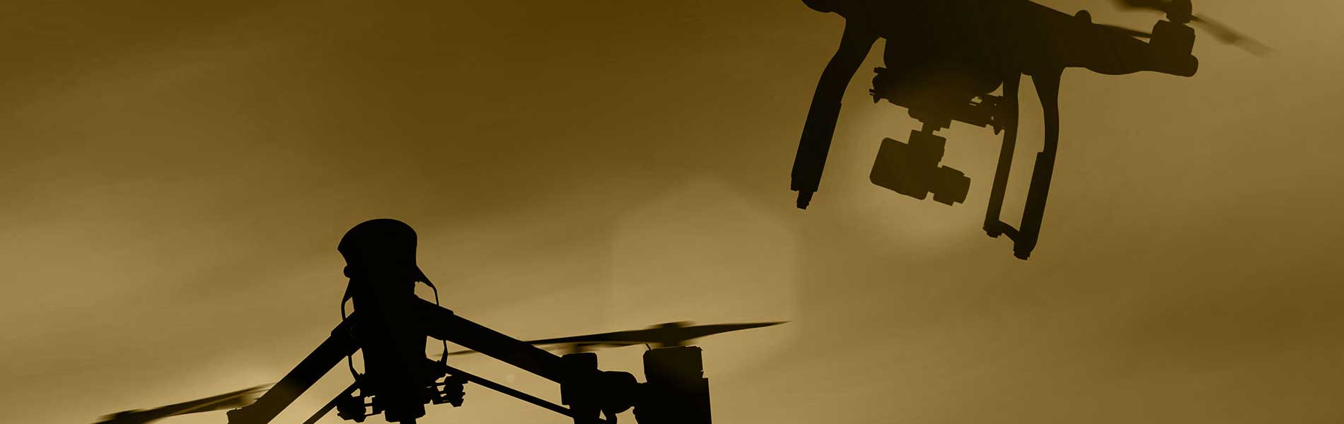 Drone immobilier