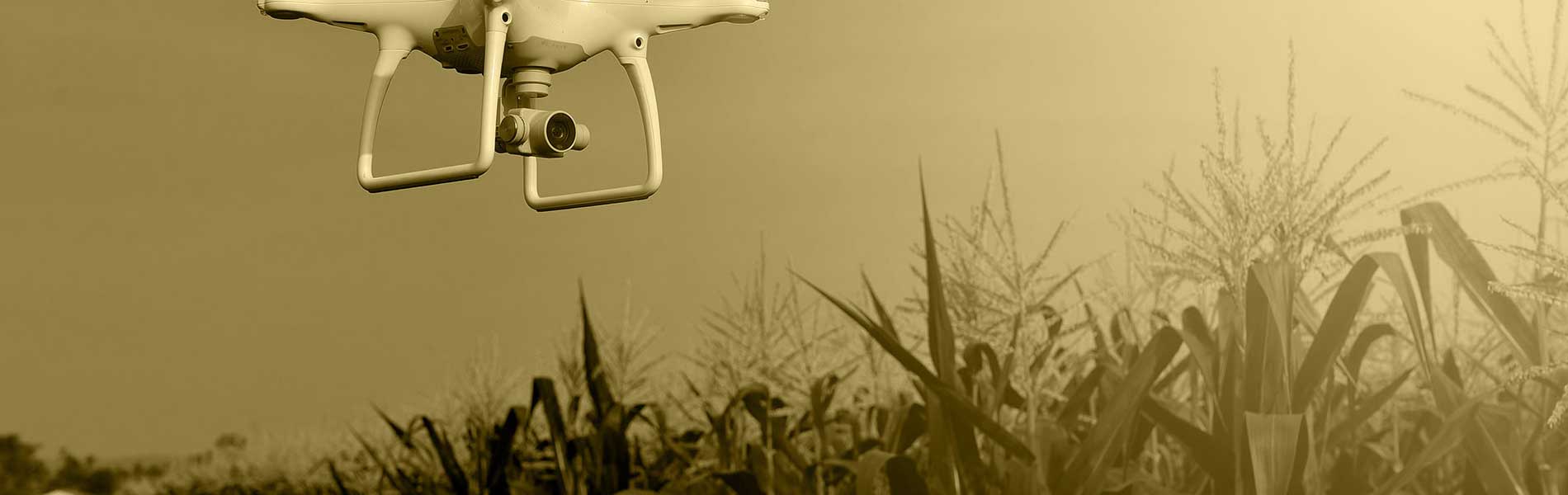 Photographe immobilier drone