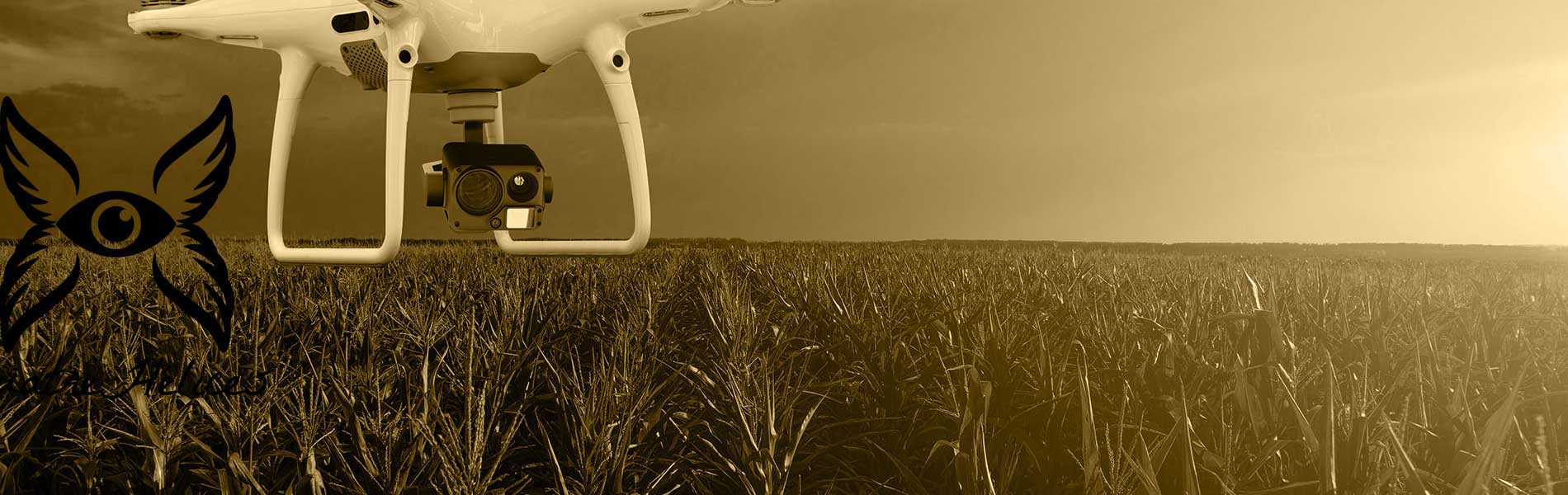 Tarif drone immobilier