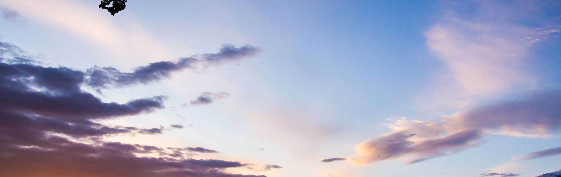 Photo drone immobilier