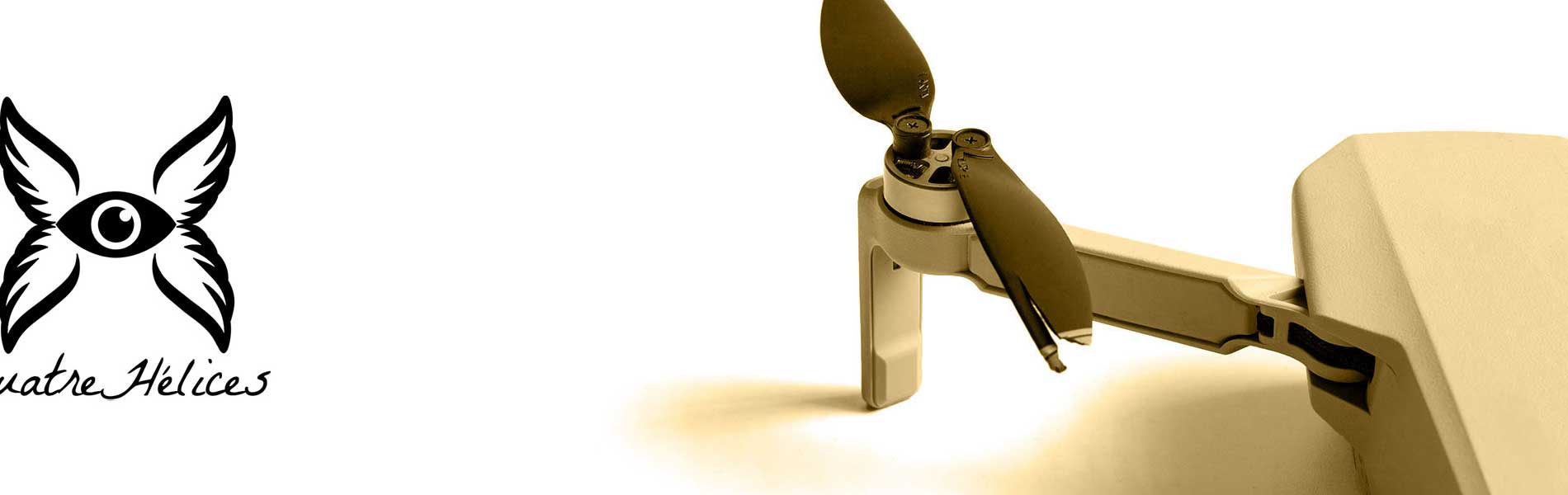Drone professionnel immobilier