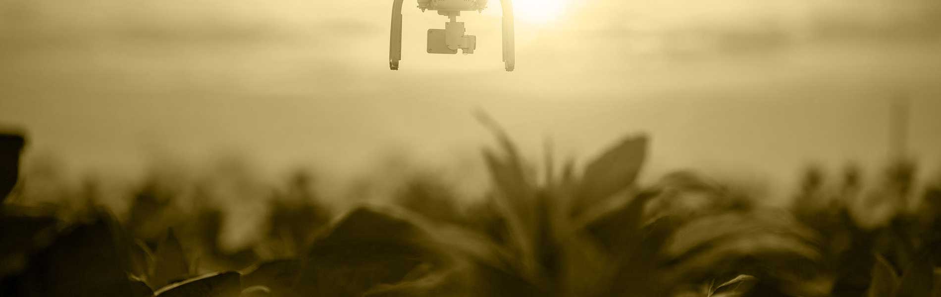 Prise de vue drone immobilier