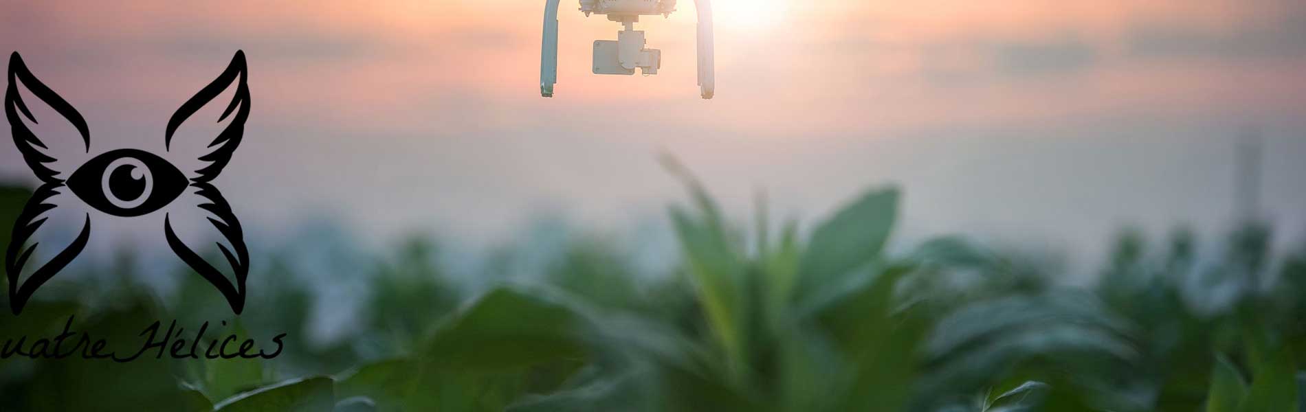 Photo drone immobilier