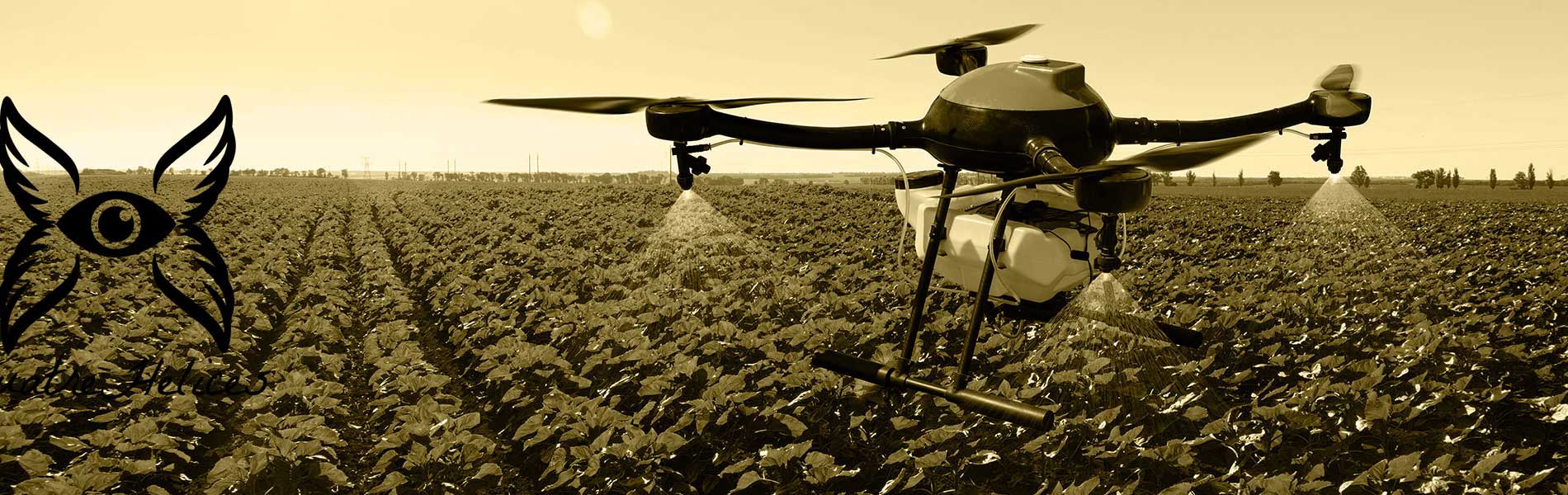 Visite par drone