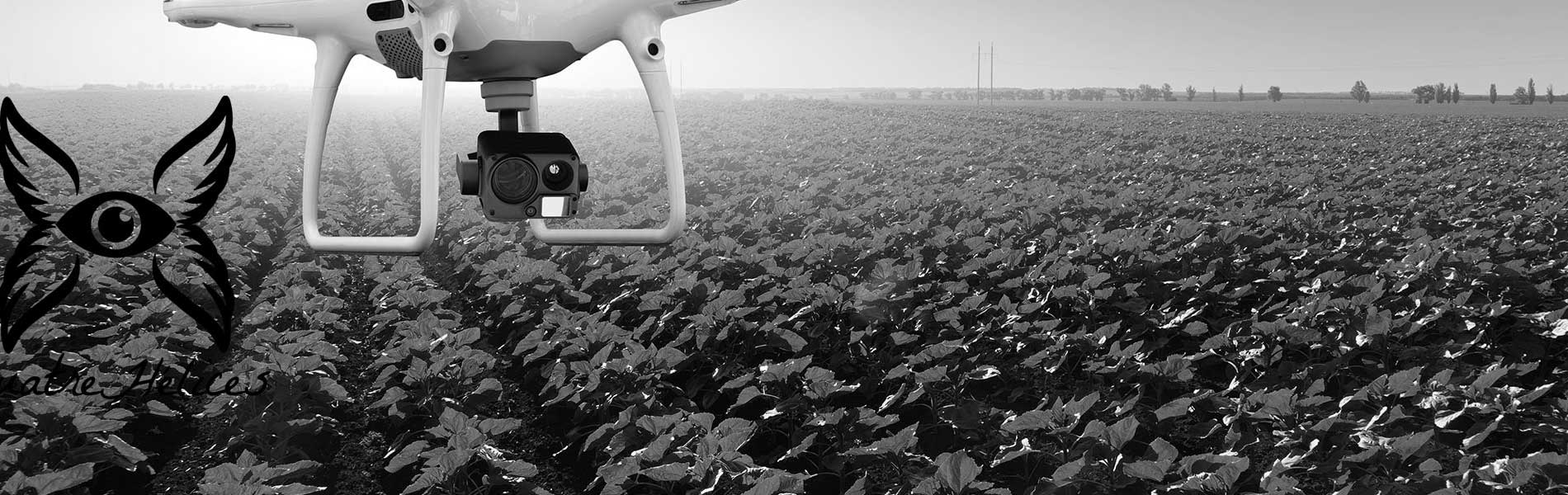 Drone immobilier legislation
