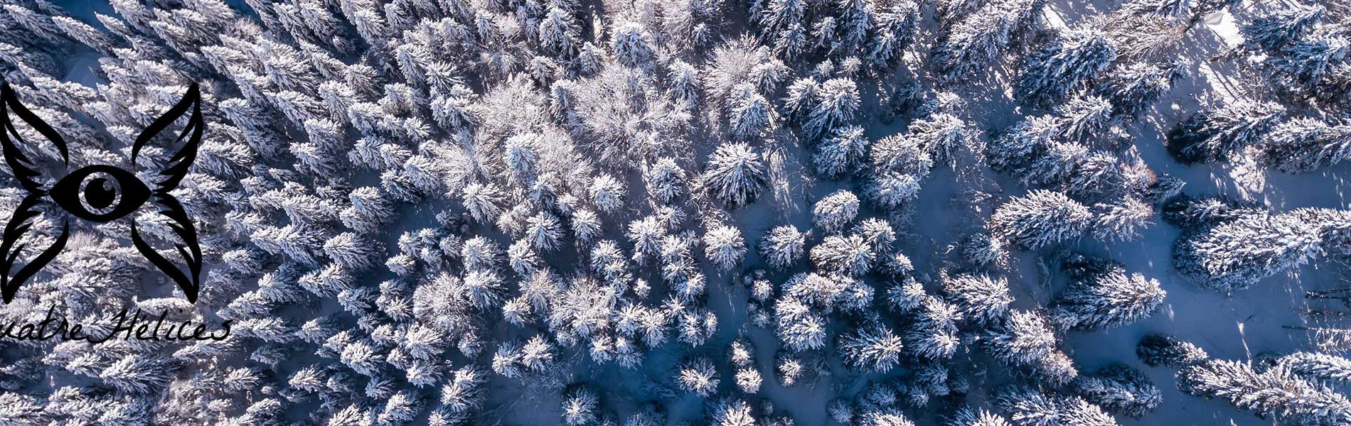 Photo drone immobilier