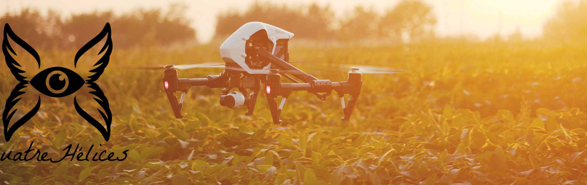 Visite par drone