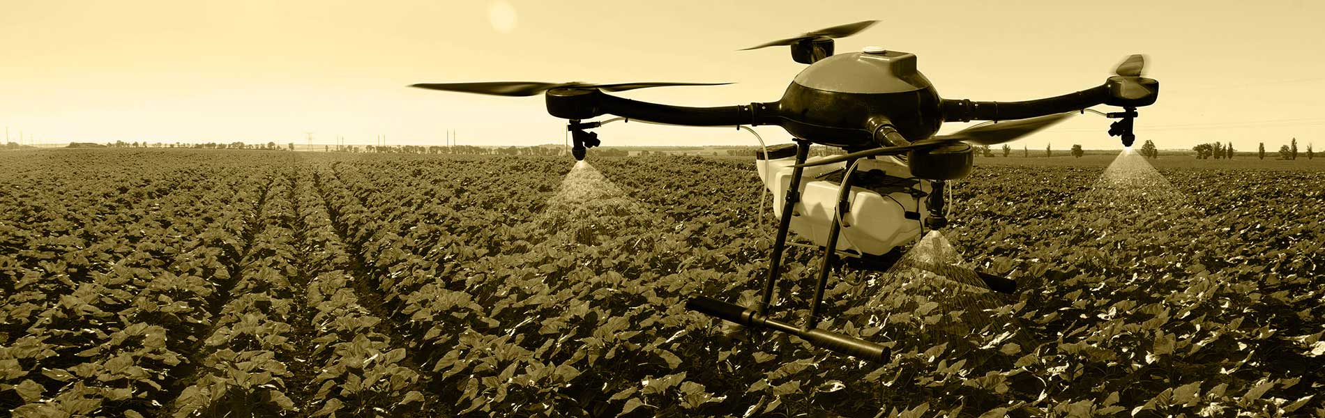 Video drone immobilier
