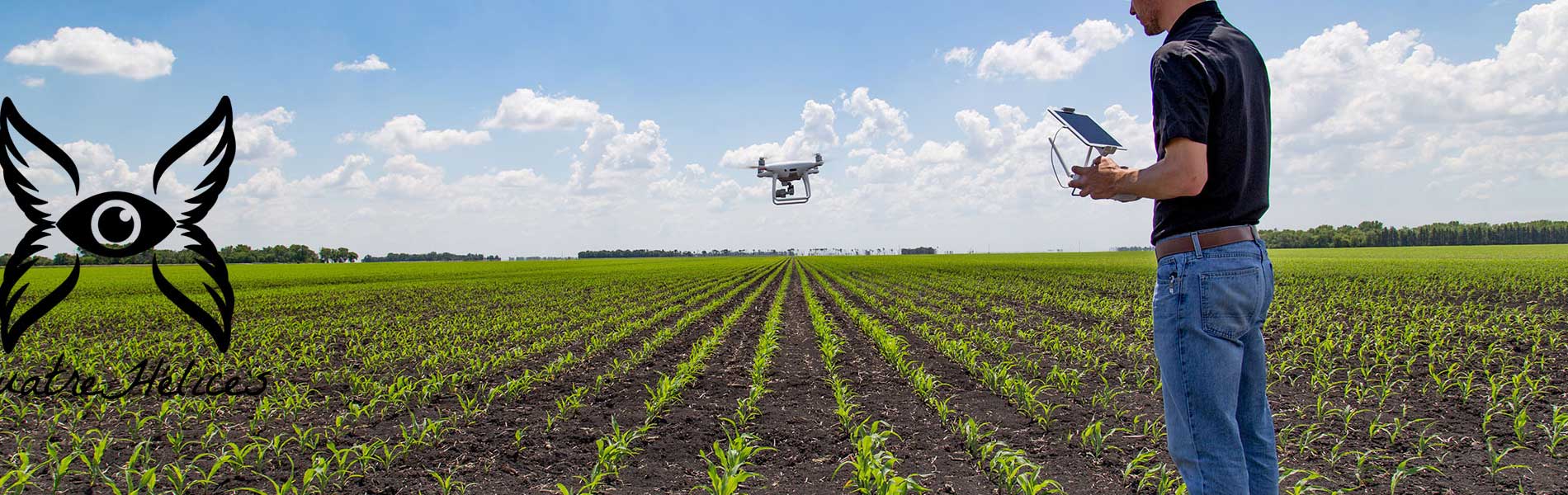 Video immobilier drone