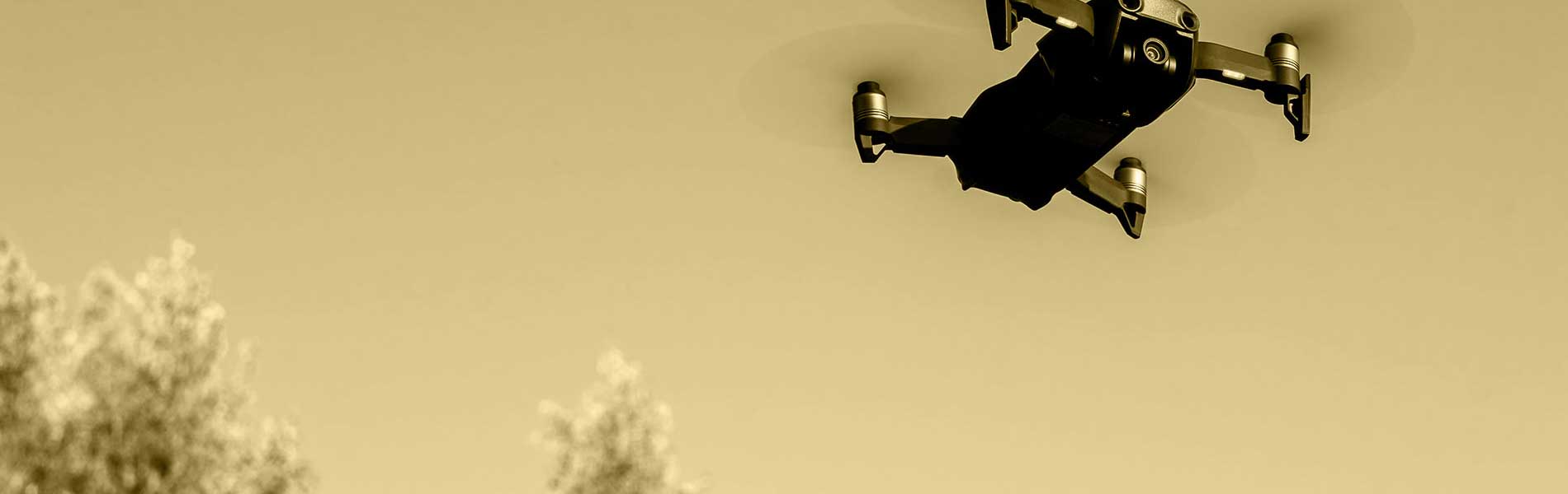 Visite par drone