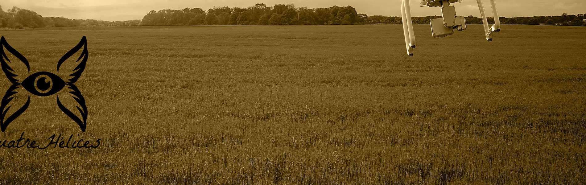 Video immobilier drone