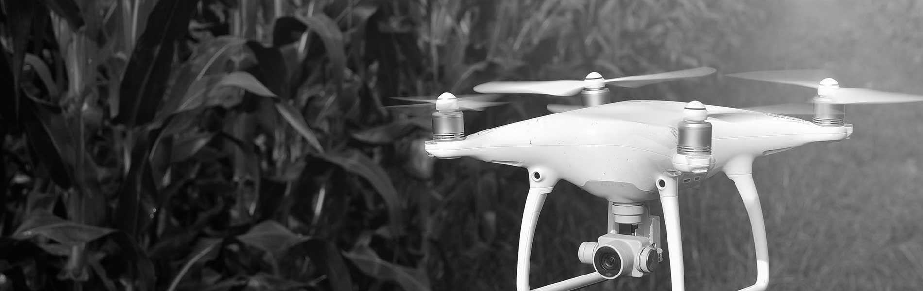 Prestation drone mariage
