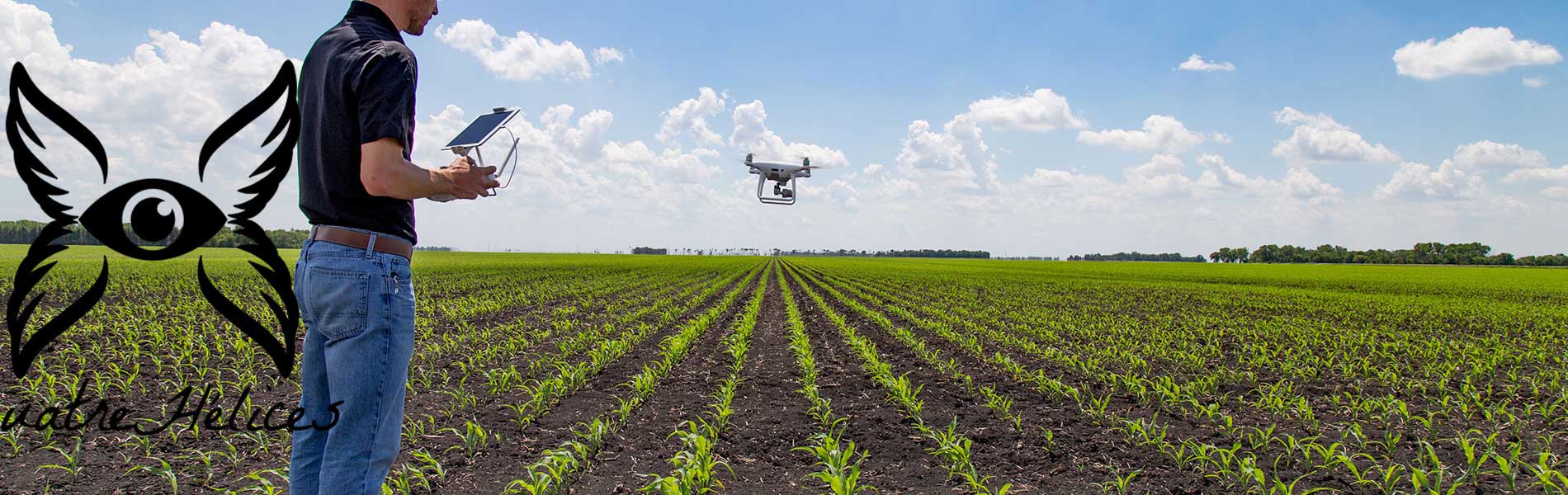 Prestation drone mariage