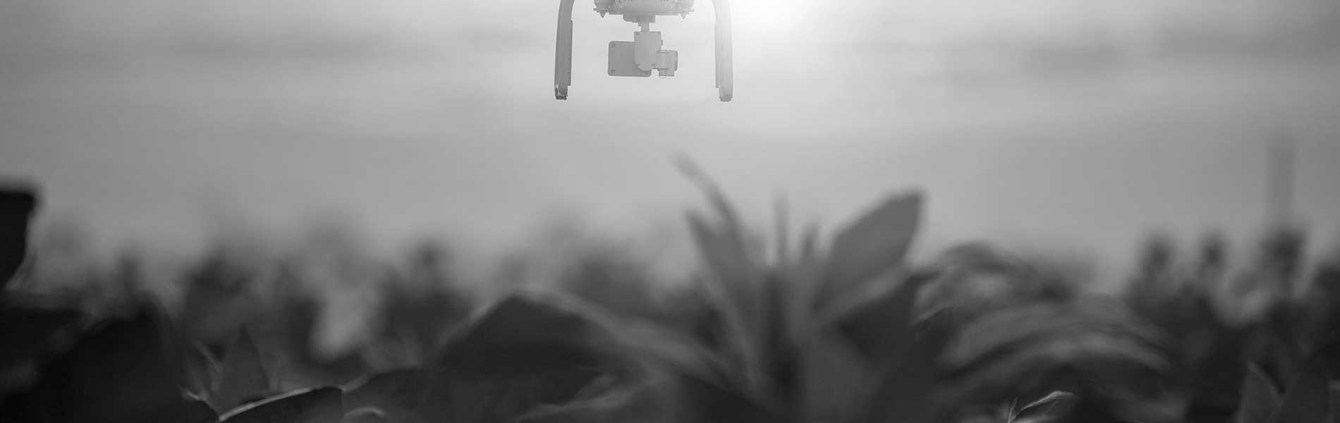 Mariage par drone