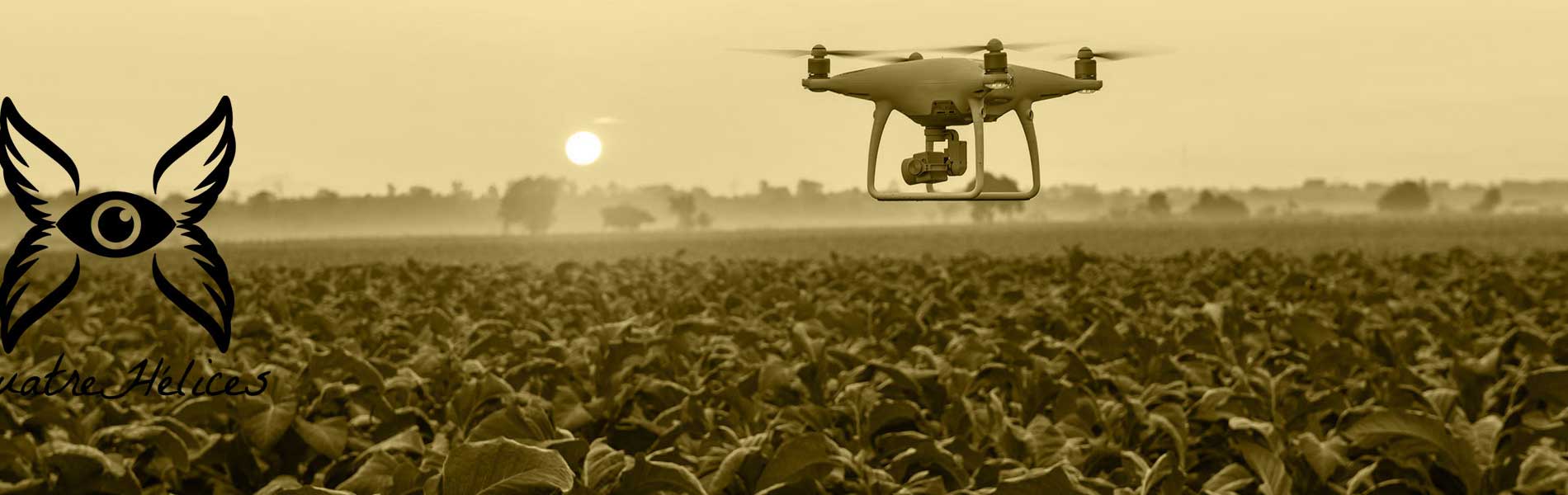 Drone mariage tarif