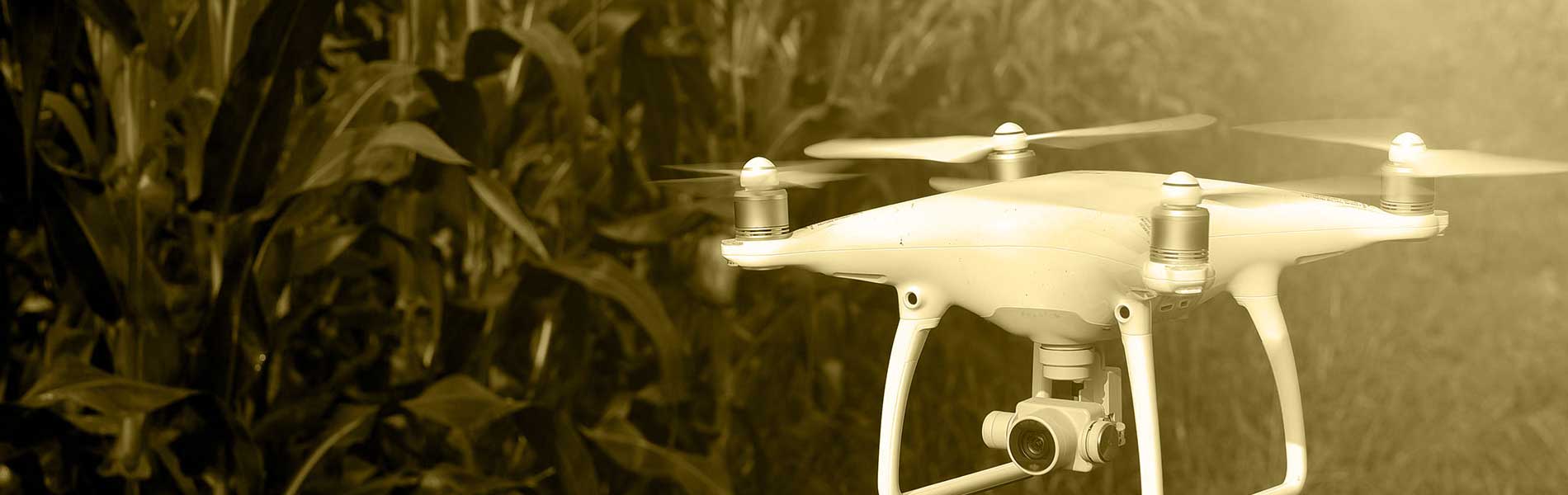 Video drone mariage