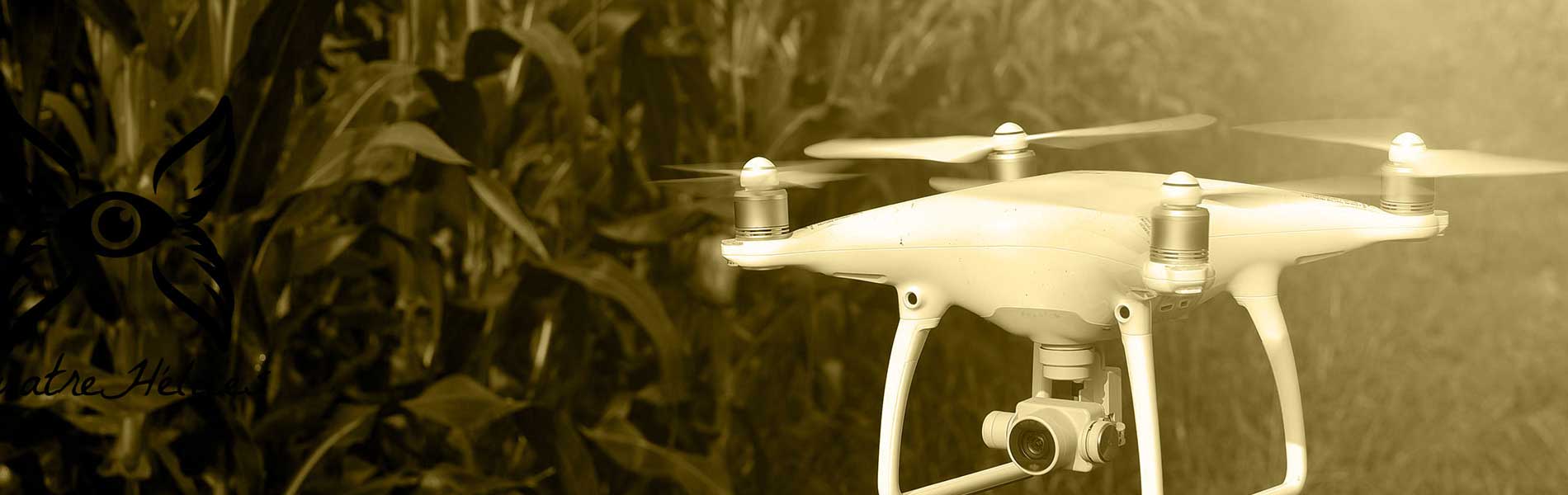 Photo mariage drone