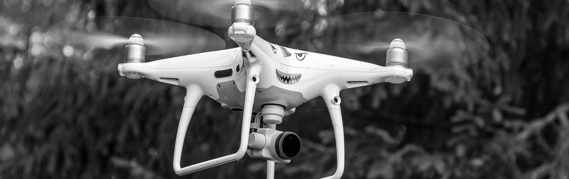 Prise de vue drone mariage