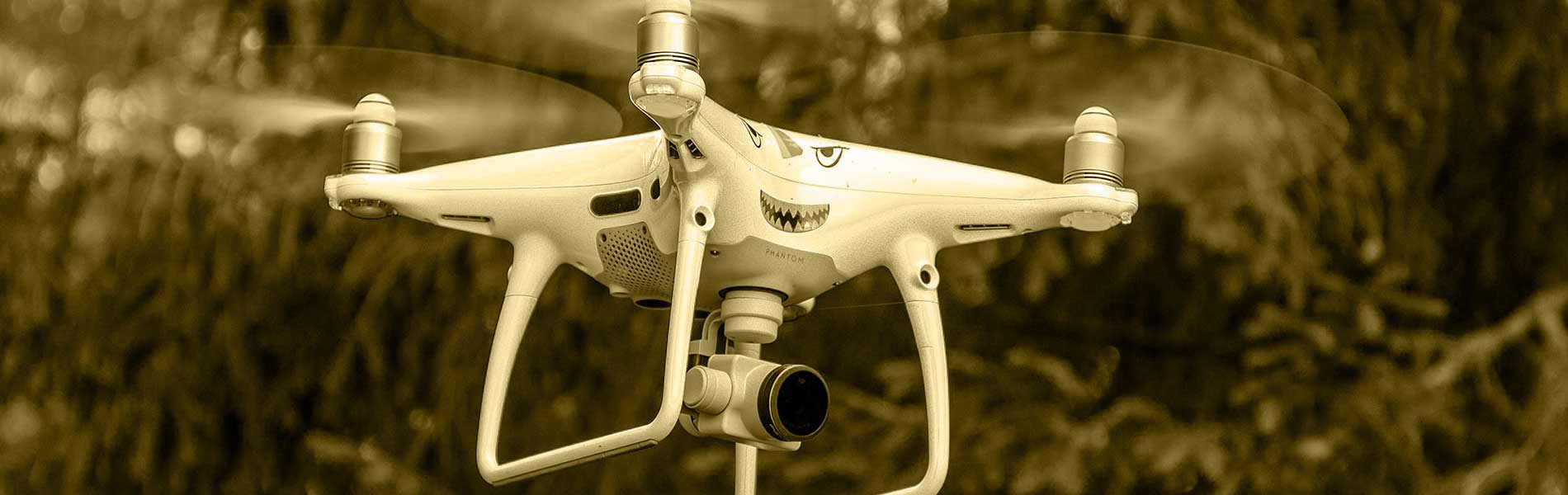Mariage par drone
