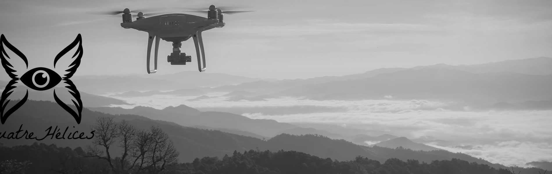 Prestation drone mariage
