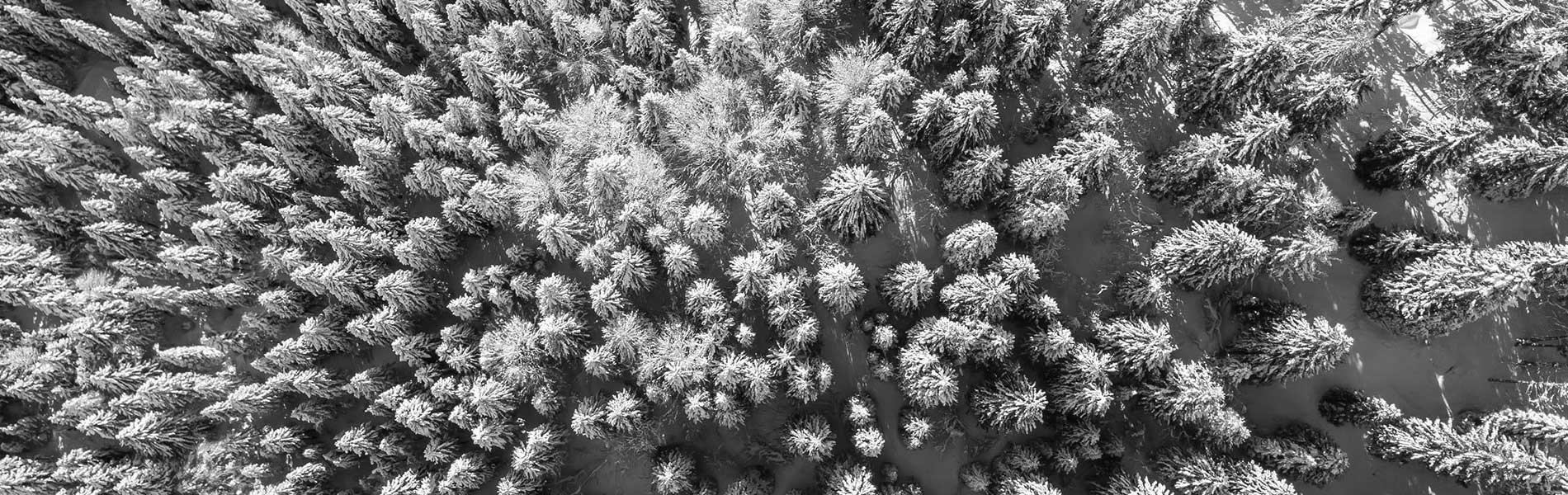 Film drone mariage