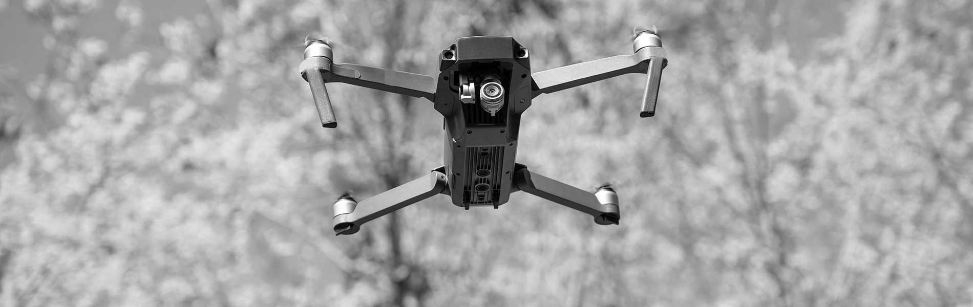 Prix photo mariage drone