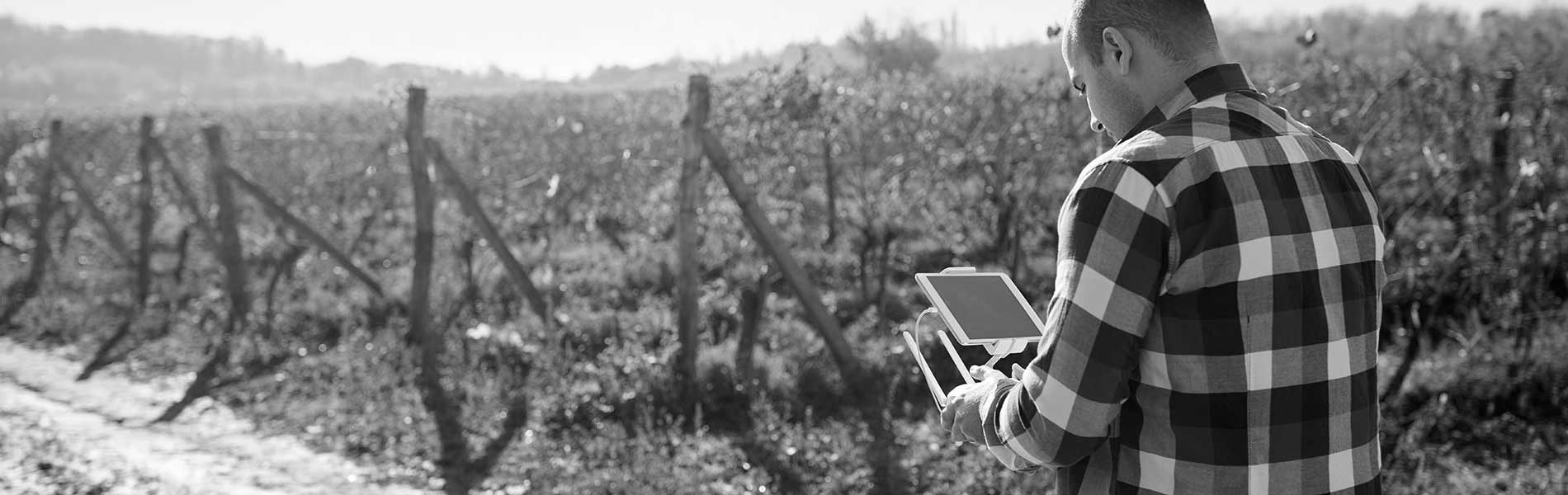 Prise de vue drone mariage