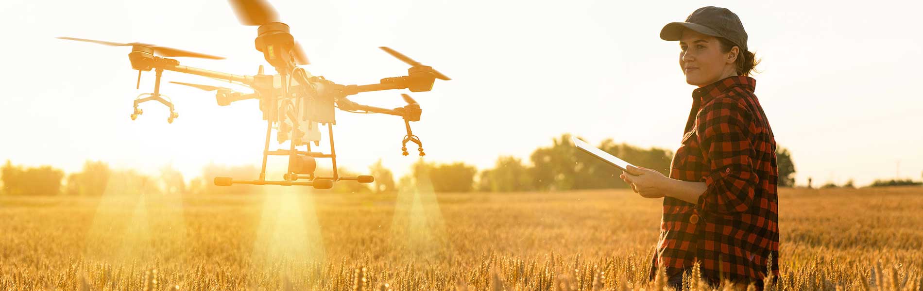 Prise de vue drone mariage