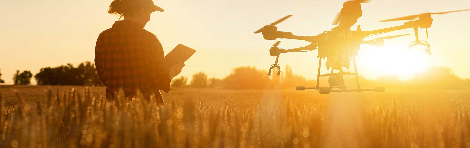 Prix drone mariage