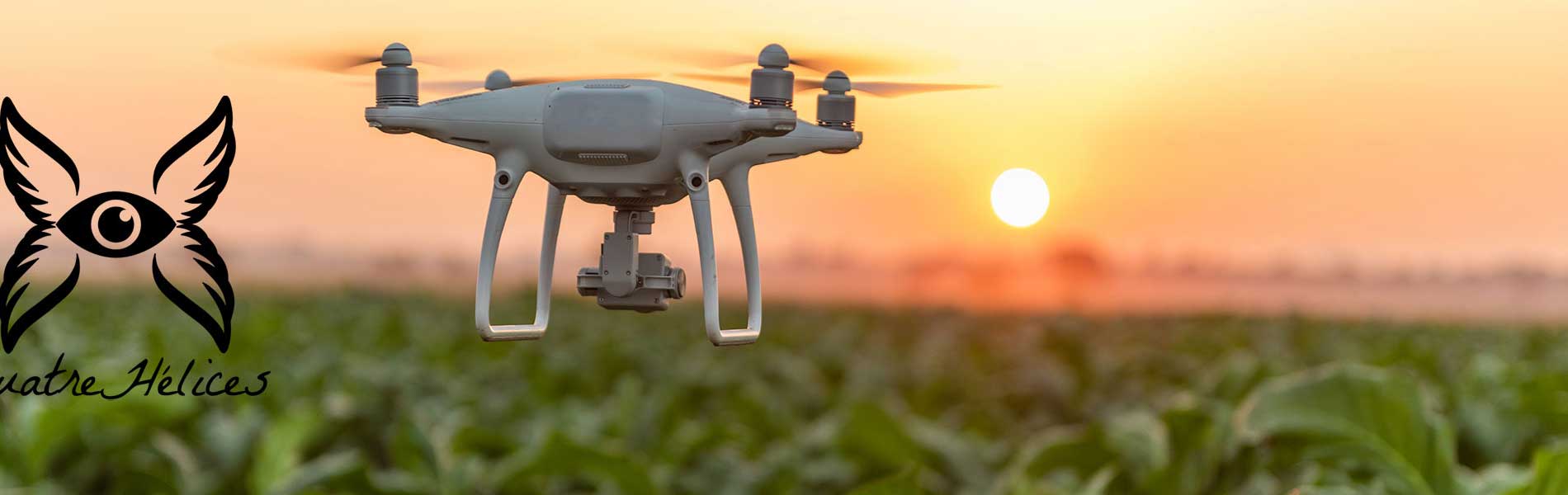 Photos et vidéos mariage par drone