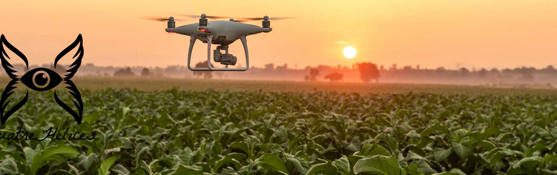 Tarif prestation drone mariage