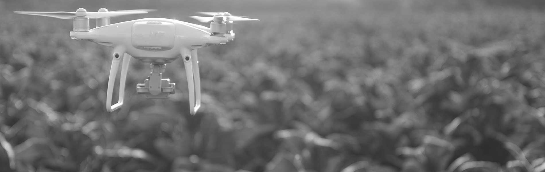 Drone professionnel mariage