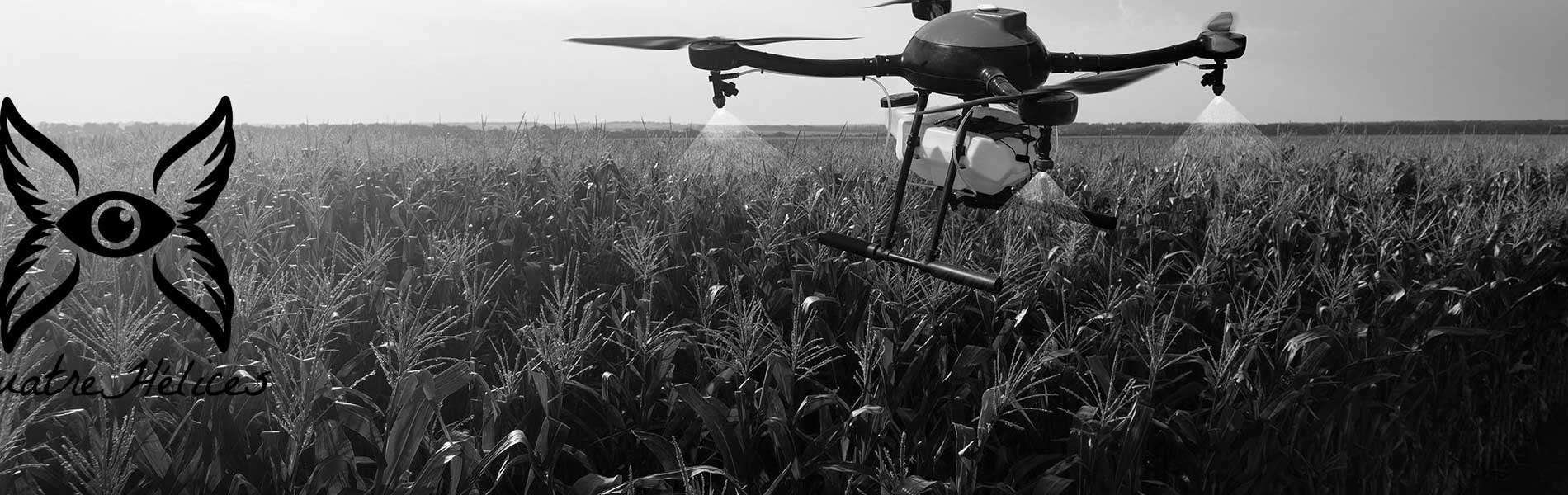Drone professionnel mariage