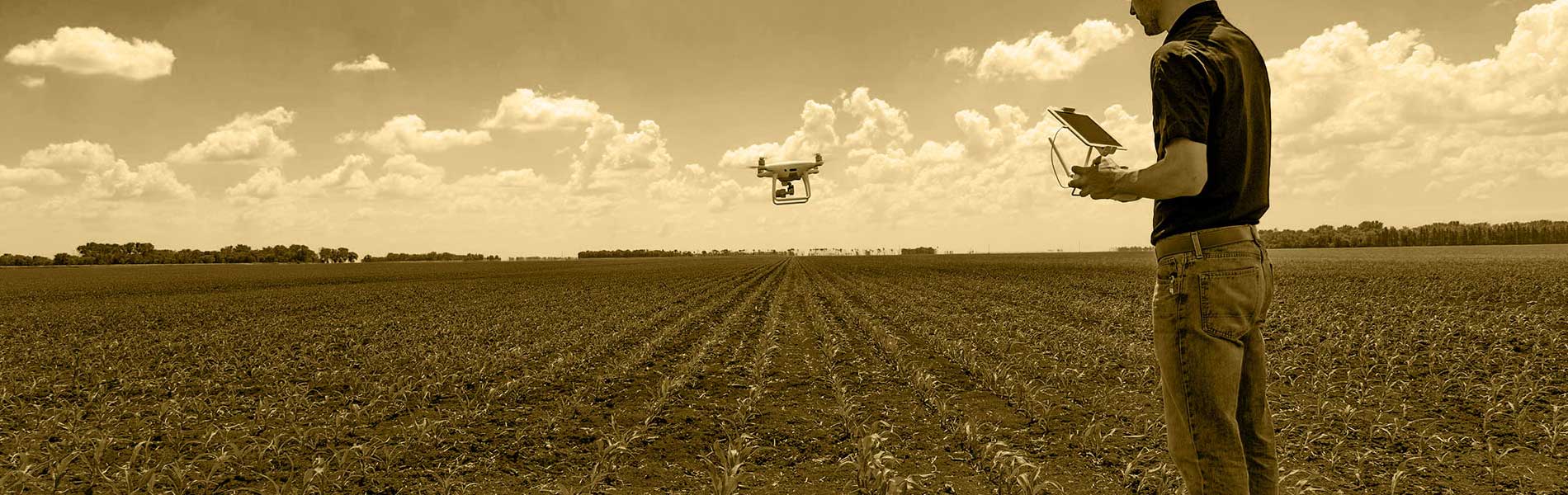 Mariage par drone