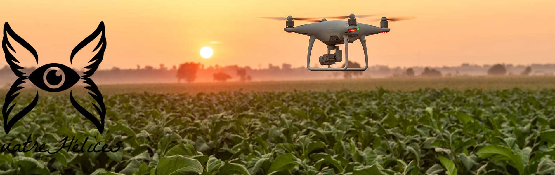 Mariage par drone