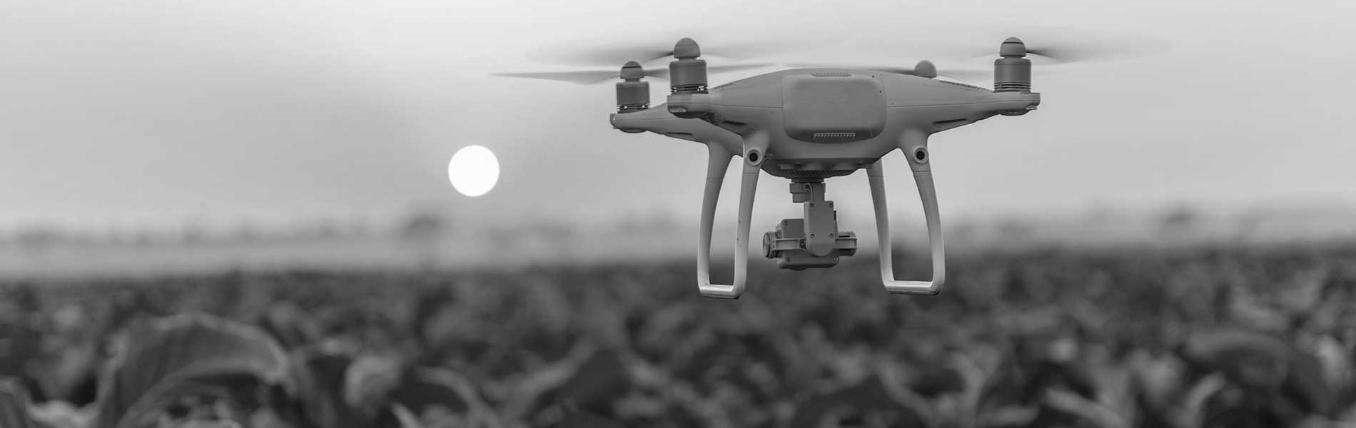 Mariage filmé par drone