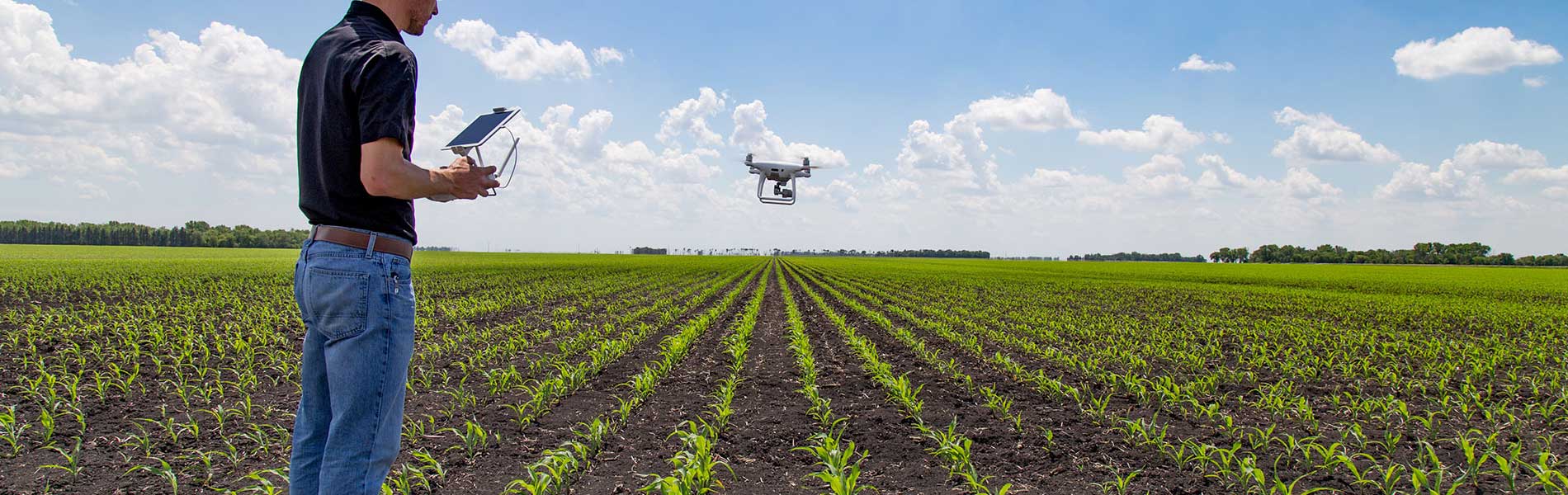 Drone mariage prix
