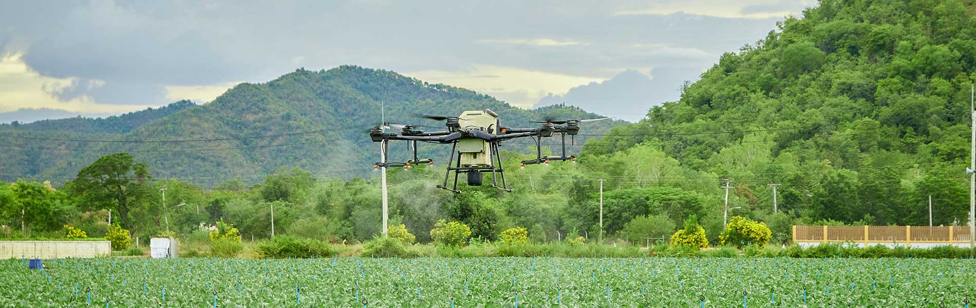 Mariage filmé par drone