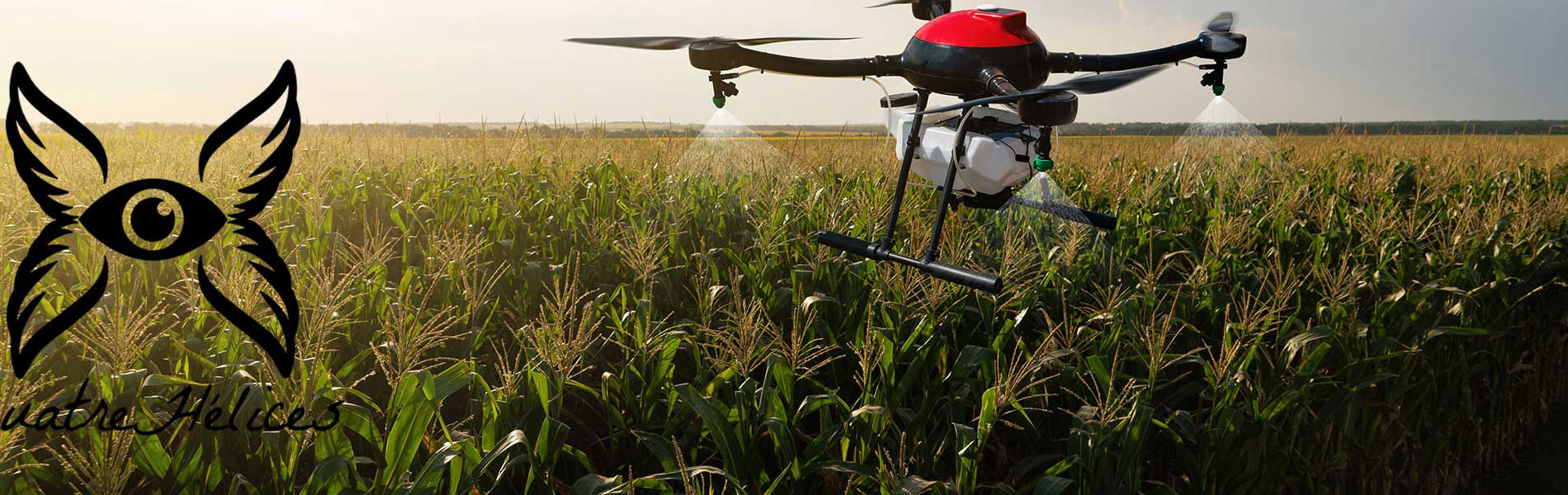 Prise de vue drone mariage