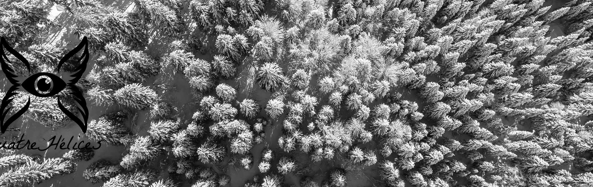 Photos et vidéos mariage par drone