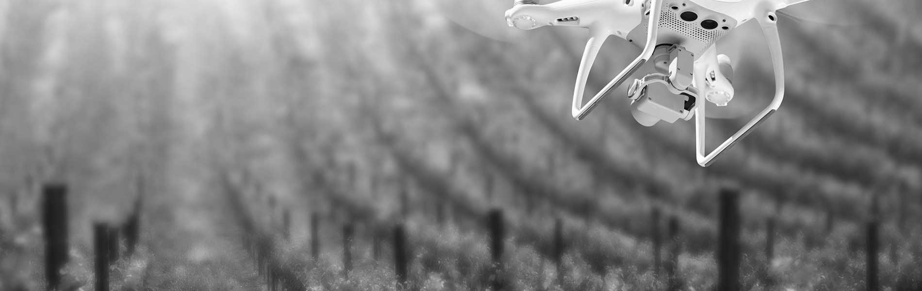 Prix photo mariage drone