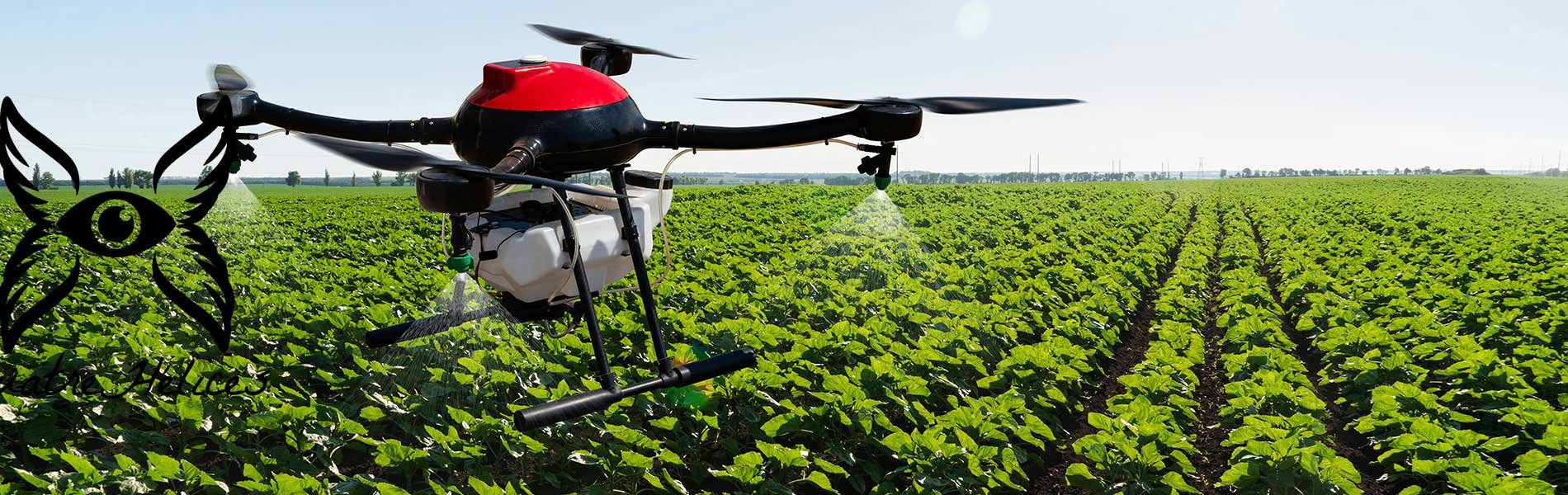 Drone mariage tarif
