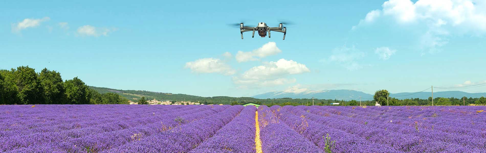 Video drone mariage