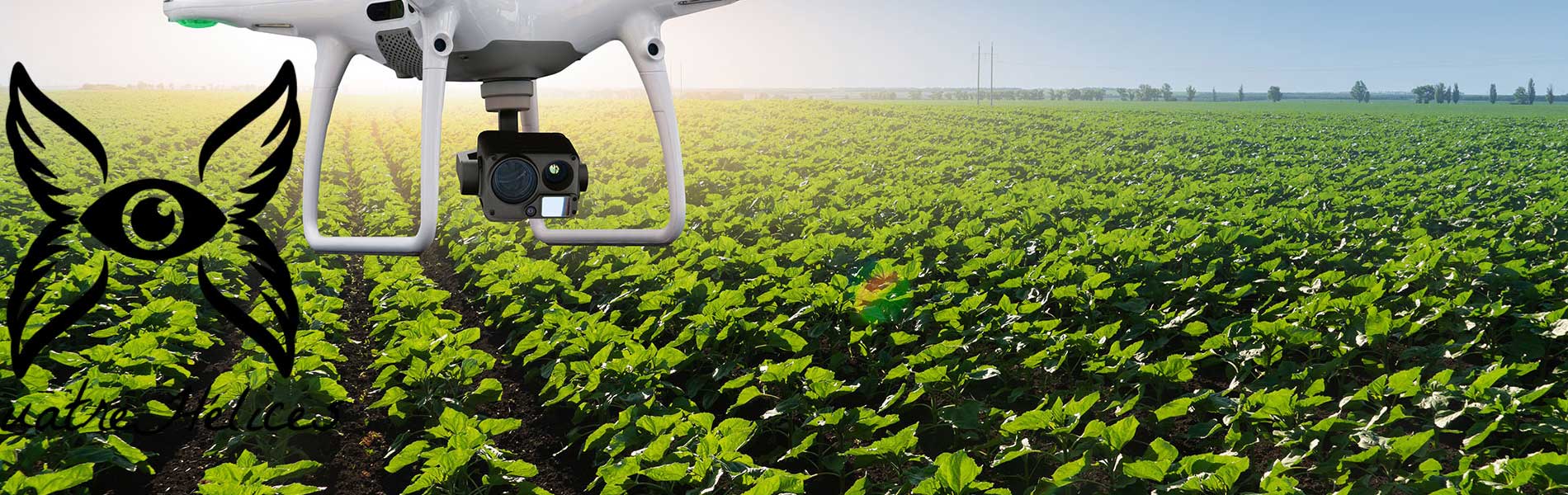 Tarif prestation drone mariage
