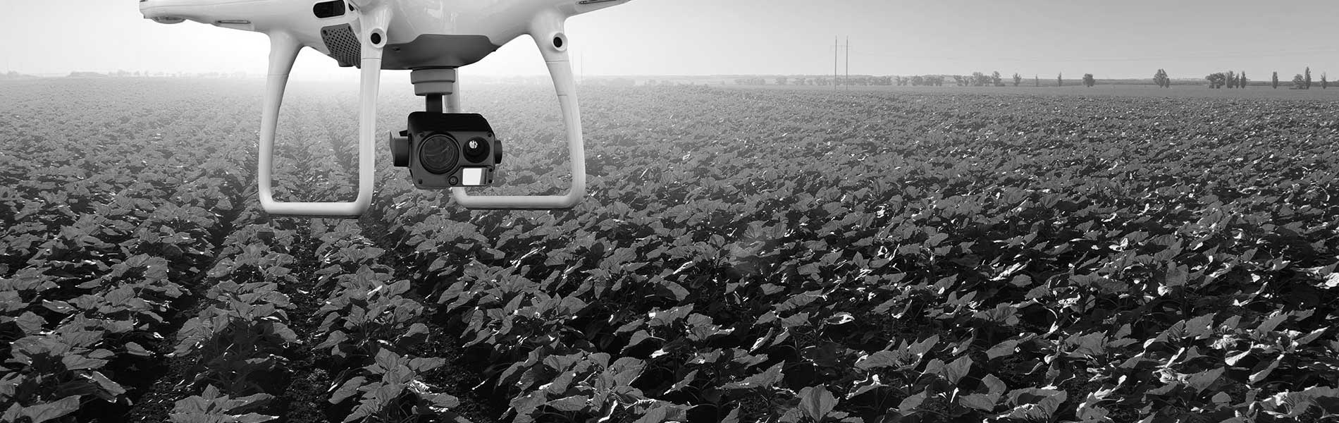 Drone mariage Rognac (13340)