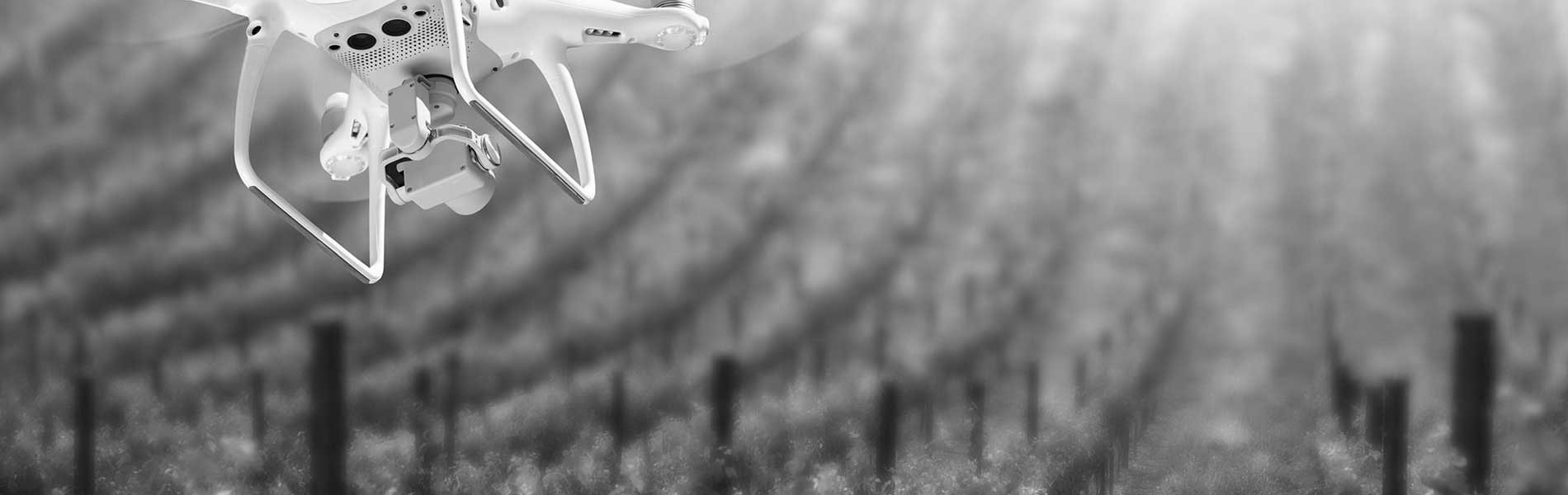 Drone professionnel mariage
