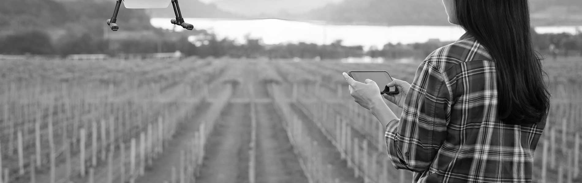 Prestation drone mariage